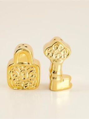 Gold Key and Padlock Charming salt and pepper shakers. Perfect for any occasion